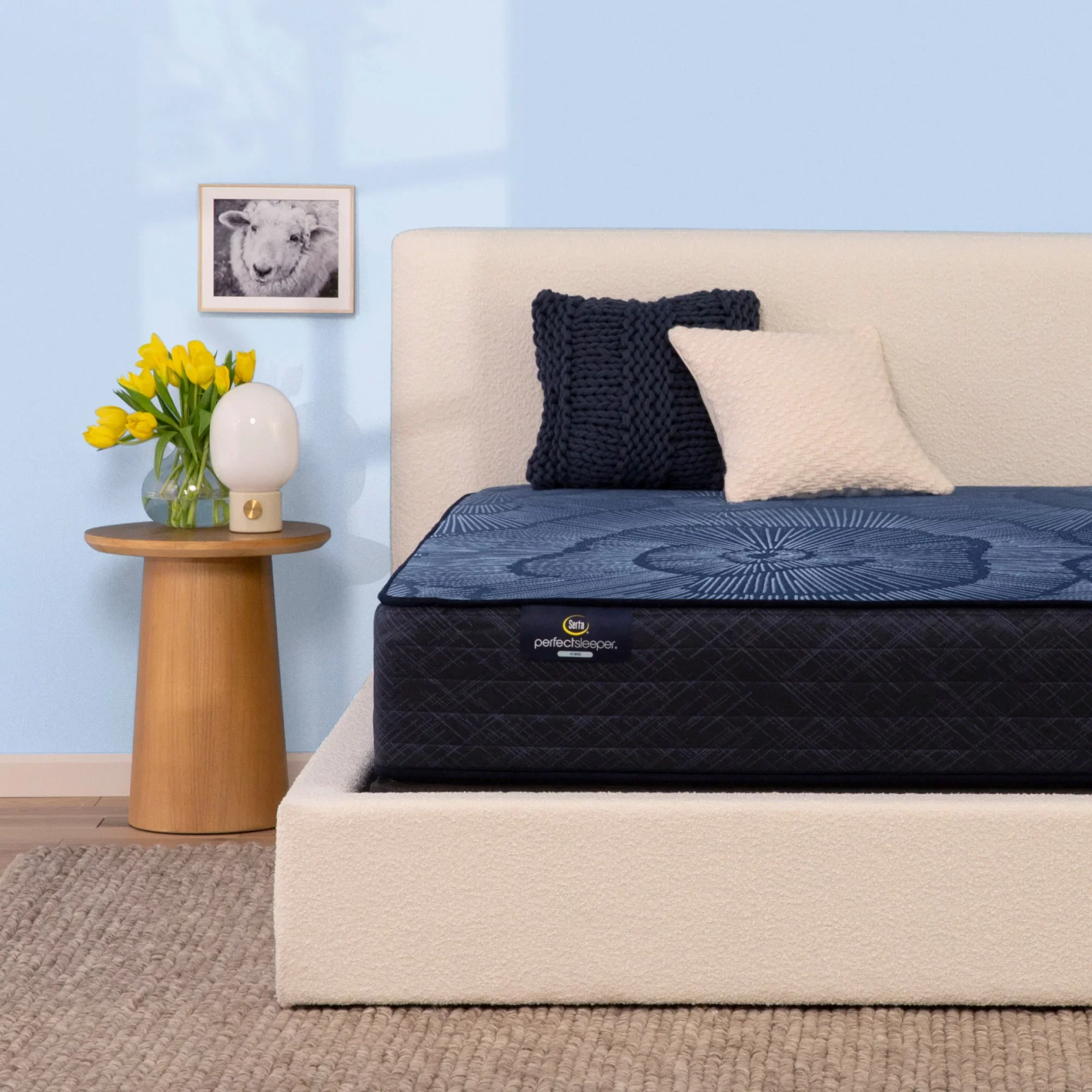 Serta Perfect Sleeper Hybrid Mattress Standard Firm