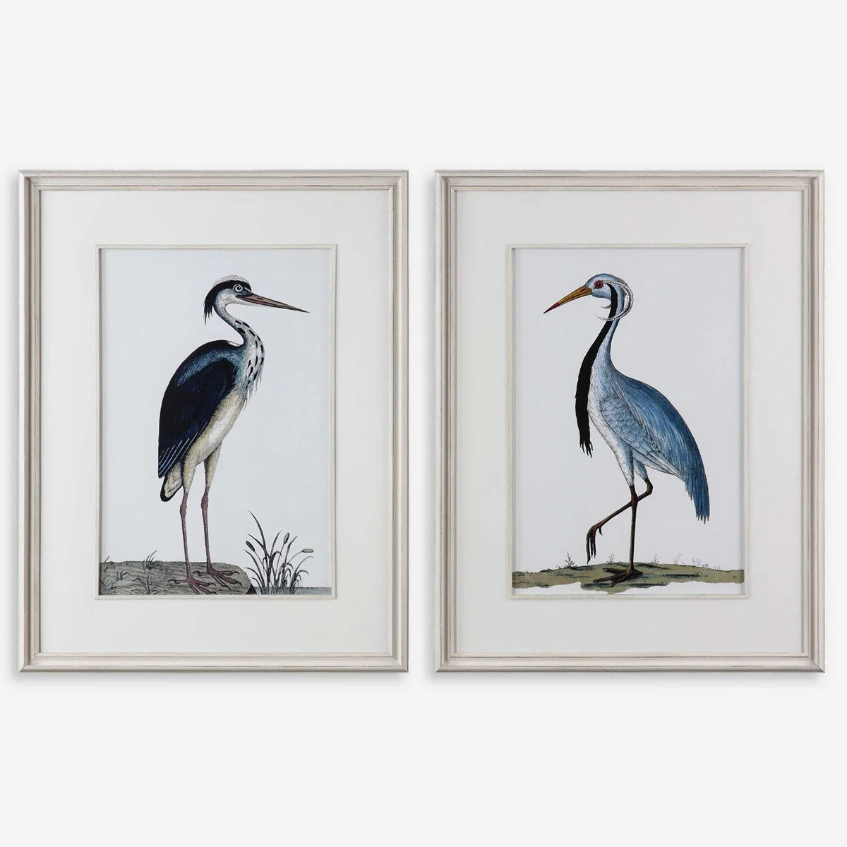 Uttermost Shore Birds Coastal Set of 2 Framed Prints - Image 2