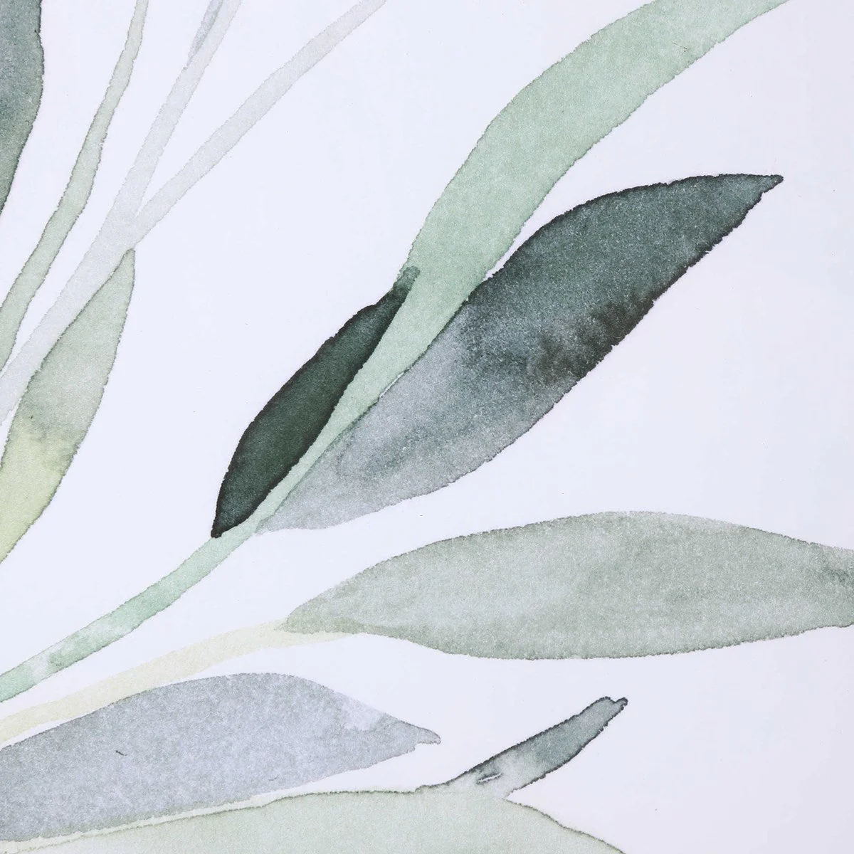 Uttermost Simple Sage Watercolor Branches Set of 3 Framed Prints - Image 5