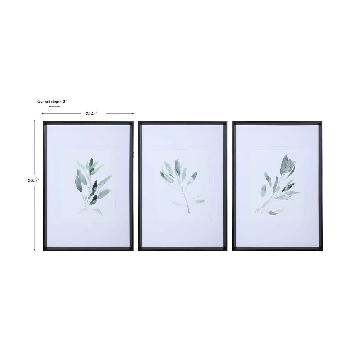 Uttermost Simple Sage Watercolor Branches Set of 3 Framed Prints - Image 7