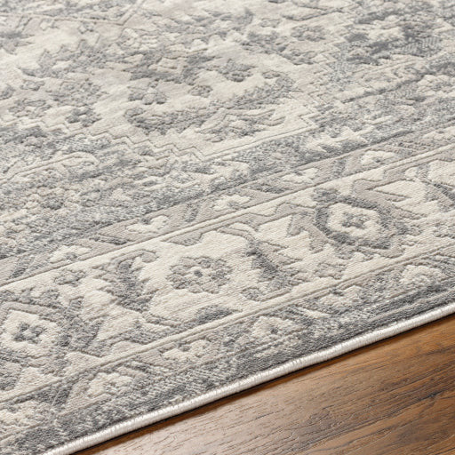 Surya Rugs Alamo Collection Area Rug ALO-2303 - Image 2