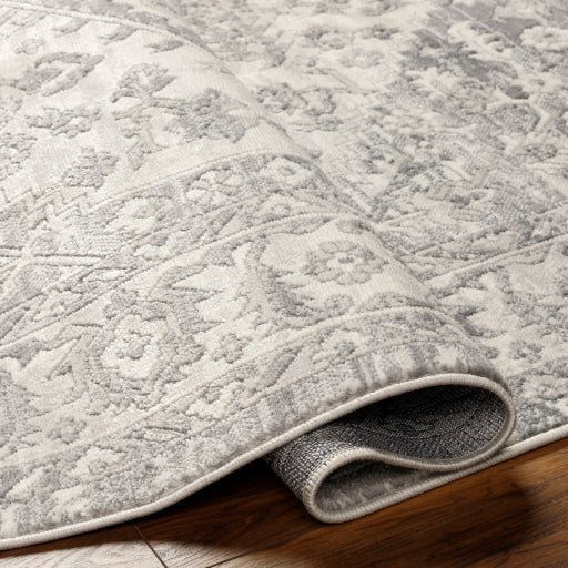 Surya Rugs Alamo Collection Area Rug ALO-2303 - Image 3