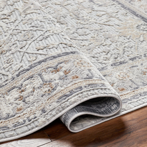 Surya Rugs Alamo Collection Area Rug ALO-2306