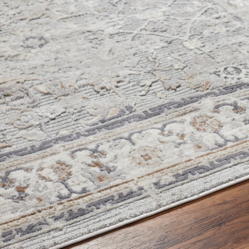 Surya Rugs Alamo Collection Area Rug ALO-2306 - Image 3