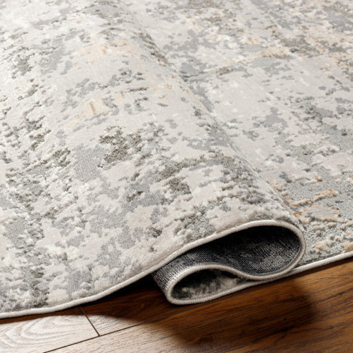 Surya Rugs Alamo Collection Area Rug ALO-2309 - Image 2