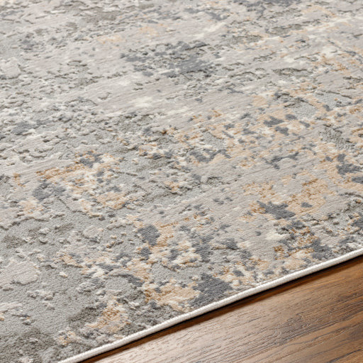 Surya Rugs Alamo Collection Area Rug ALO-2309 - Image 3