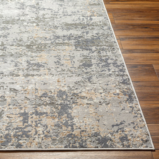 Surya Rugs Alamo Collection Area Rug ALO-2309 - Image 5
