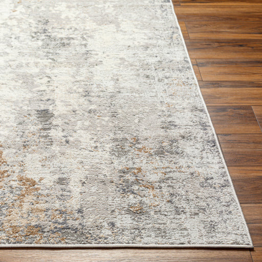 Surya Rugs Alamo Collection Area Rug ALO-2313 - Image 2