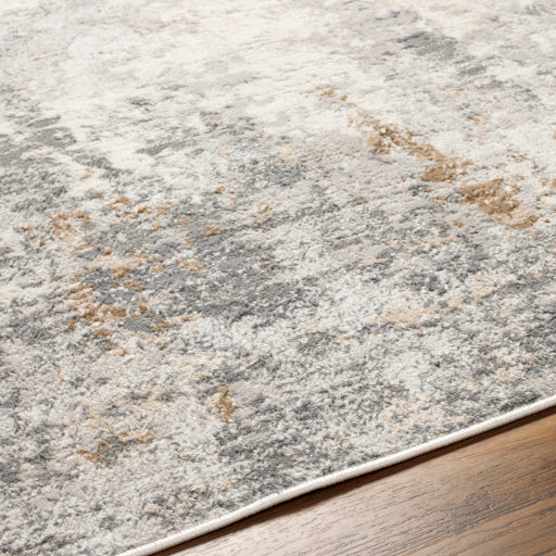 Surya Rugs Alamo Collection Area Rug ALO-2313 - Image 3