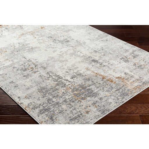 Surya Rugs Alamo Collection Area Rug ALO-2313 - Image 5