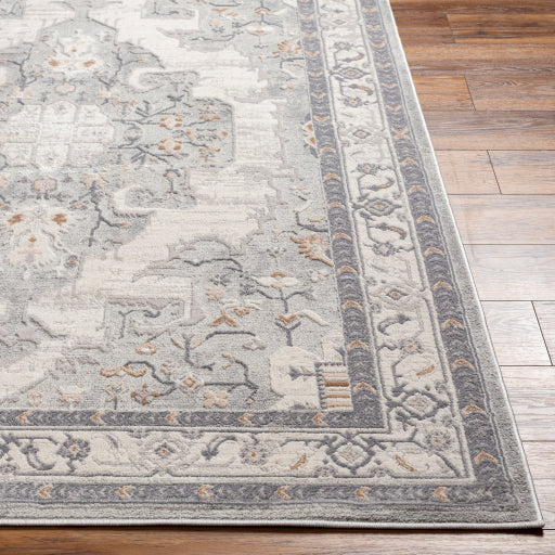 Surya Rugs Alamo Collection Area Rug ALO-2300 - Image 3