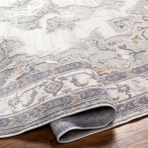 Surya Rugs Alamo Collection Area Rug ALO-2300 - Image 5
