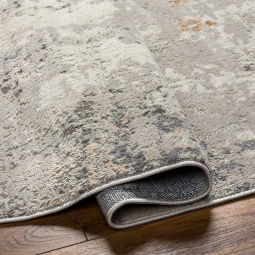 Surya Rugs Alamo Collection Area Rug ALO-2304 - Image 4