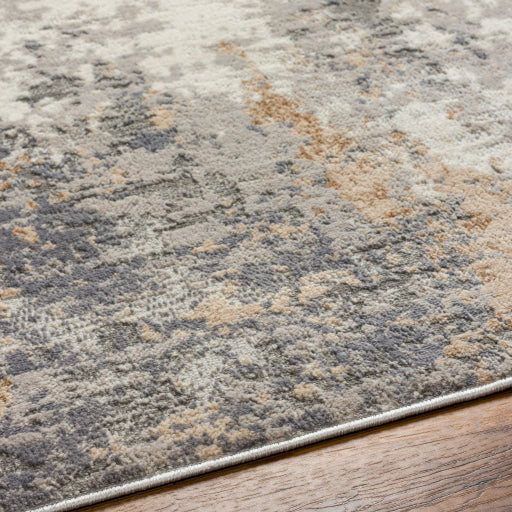 Surya Rugs Alamo Collection Area Rug ALO-2304 - Image 5