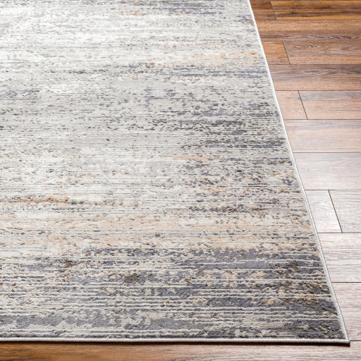 Surya Rugs Alamo Collection Area Rug ALO-2305 - Image 3