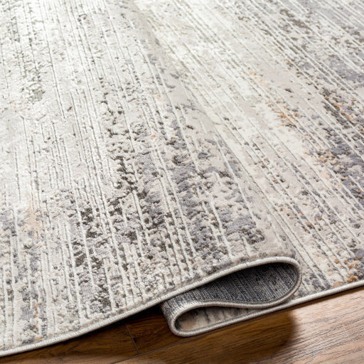 Surya Rugs Alamo Collection Area Rug ALO-2305 - Image 4