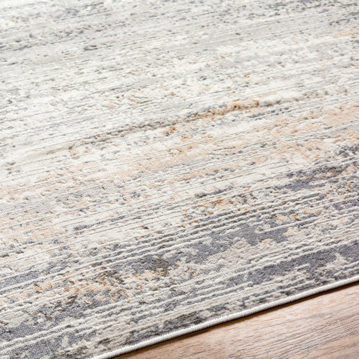Surya Rugs Alamo Collection Area Rug ALO-2305 - Image 5