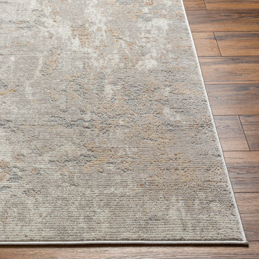 Surya Rugs Alamo Collection Area Rug ALO-2311 - Image 3