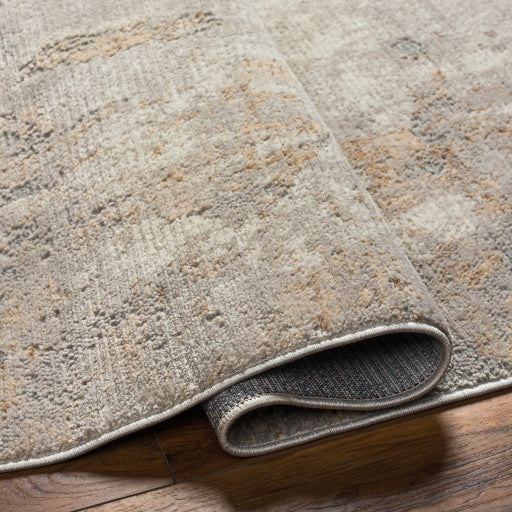 Surya Rugs Alamo Collection Area Rug ALO-2311 - Image 5