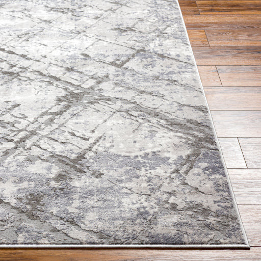 Surya Rugs Alamo Collection Area Rug ALO-2312 - Image 3
