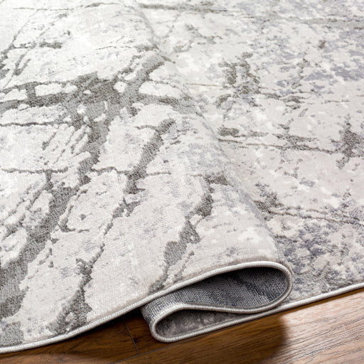 Surya Rugs Alamo Collection Area Rug ALO-2312 - Image 4