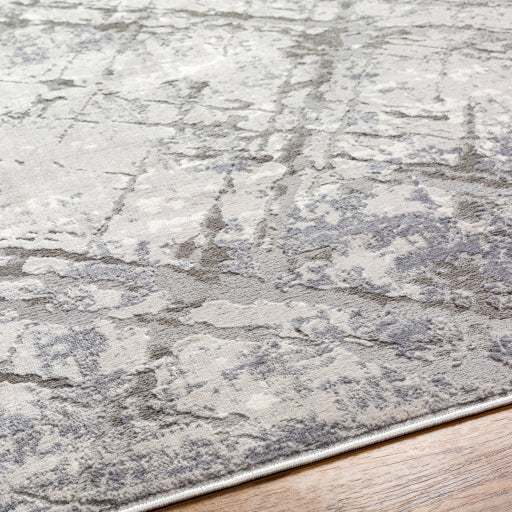 Surya Rugs Alamo Collection Area Rug ALO-2312 - Image 6
