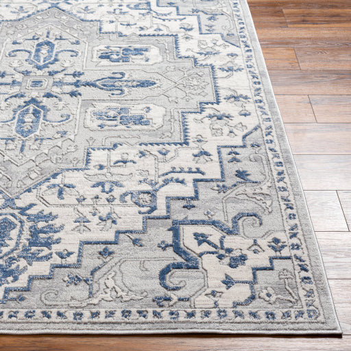 Surya Rugs Alamo Collection Area Rug ALO-2315 - Image 3
