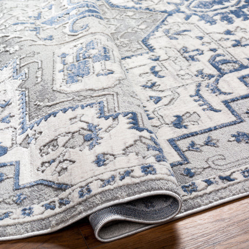 Surya Rugs Alamo Collection Area Rug ALO-2315 - Image 4