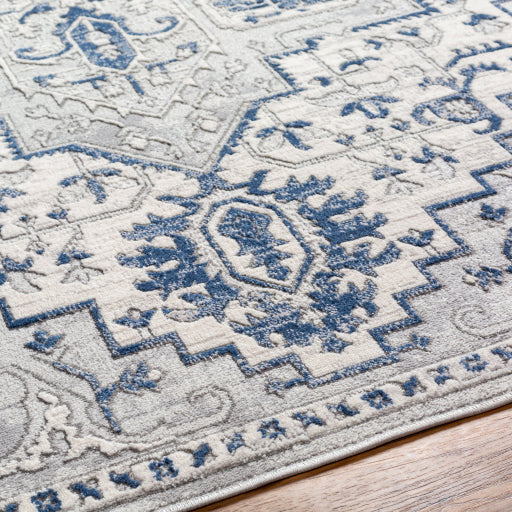 Surya Rugs Alamo Collection Area Rug ALO-2315 - Image 5