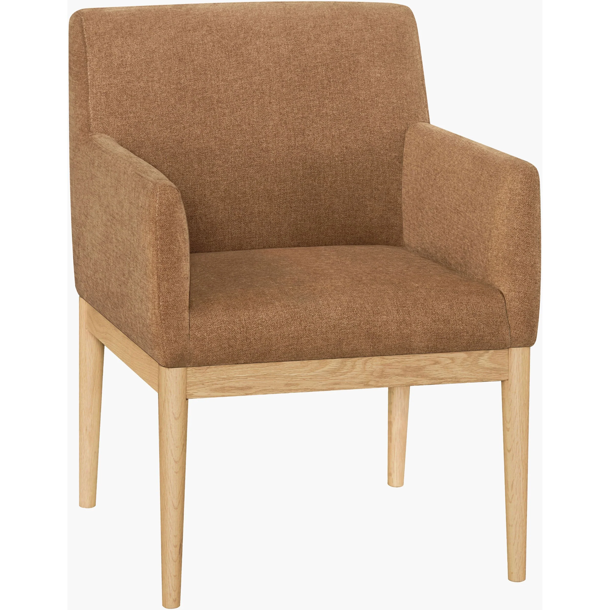 Becki Owens x SURYA Mollie Dining Armchair - Image 3