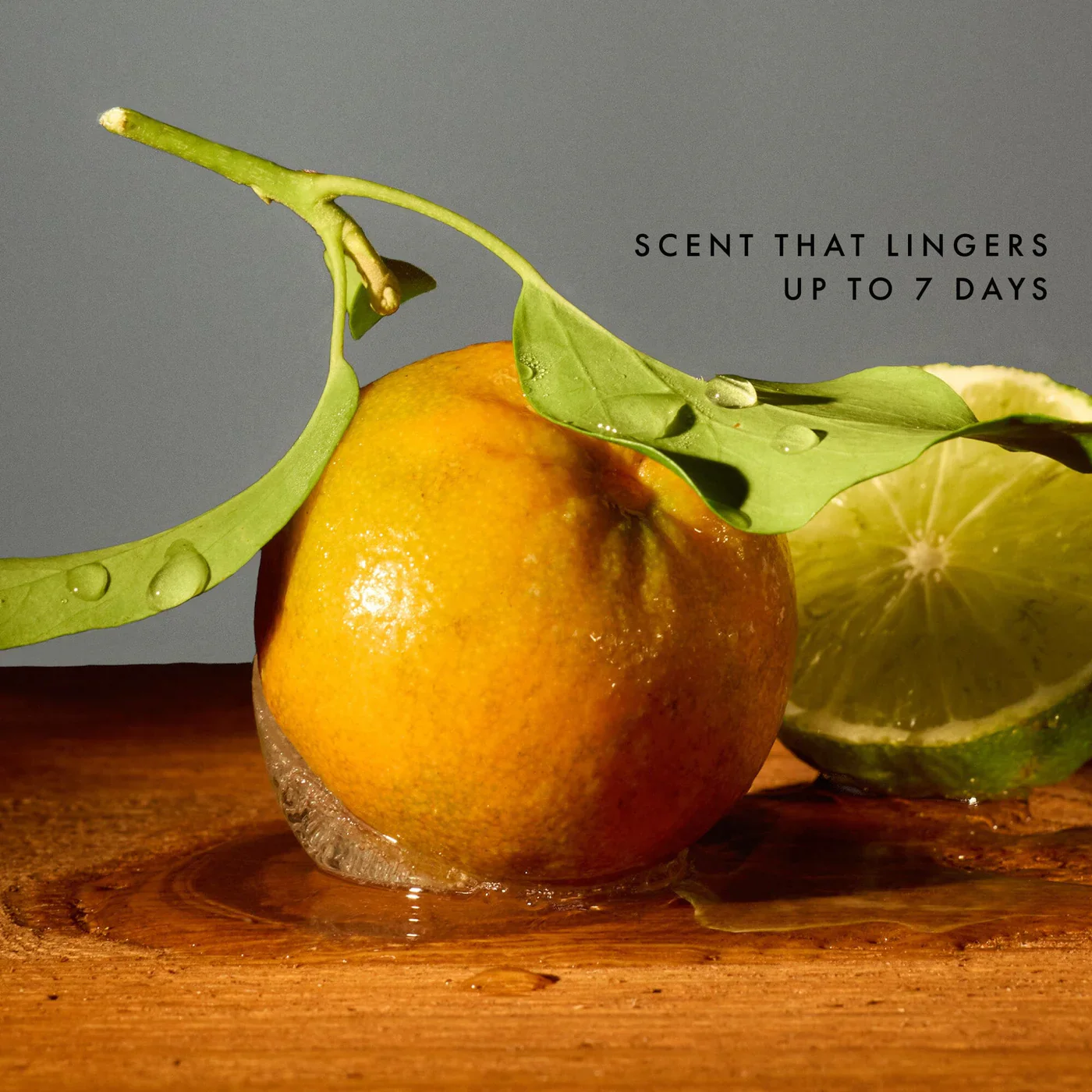 The Laundress Fresh Take Laundry Detergent ~ Green Citrus Scent for Feeling Optimistic ~ IN-STORE PURCHASE ONLY - Image 5