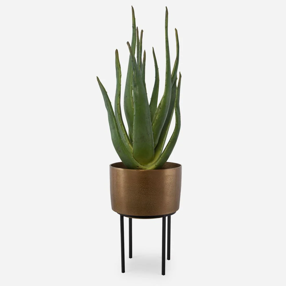 Uttermost Arabia Aloe Planter Botanicals - Image 2