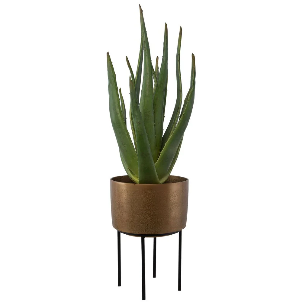 Uttermost Arabia Aloe Planter Botanicals - Image 3