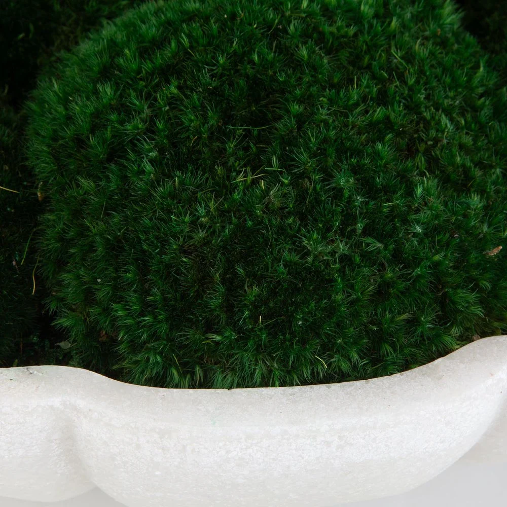 Uttermost Awaken Moss Centerpiece - Image 4