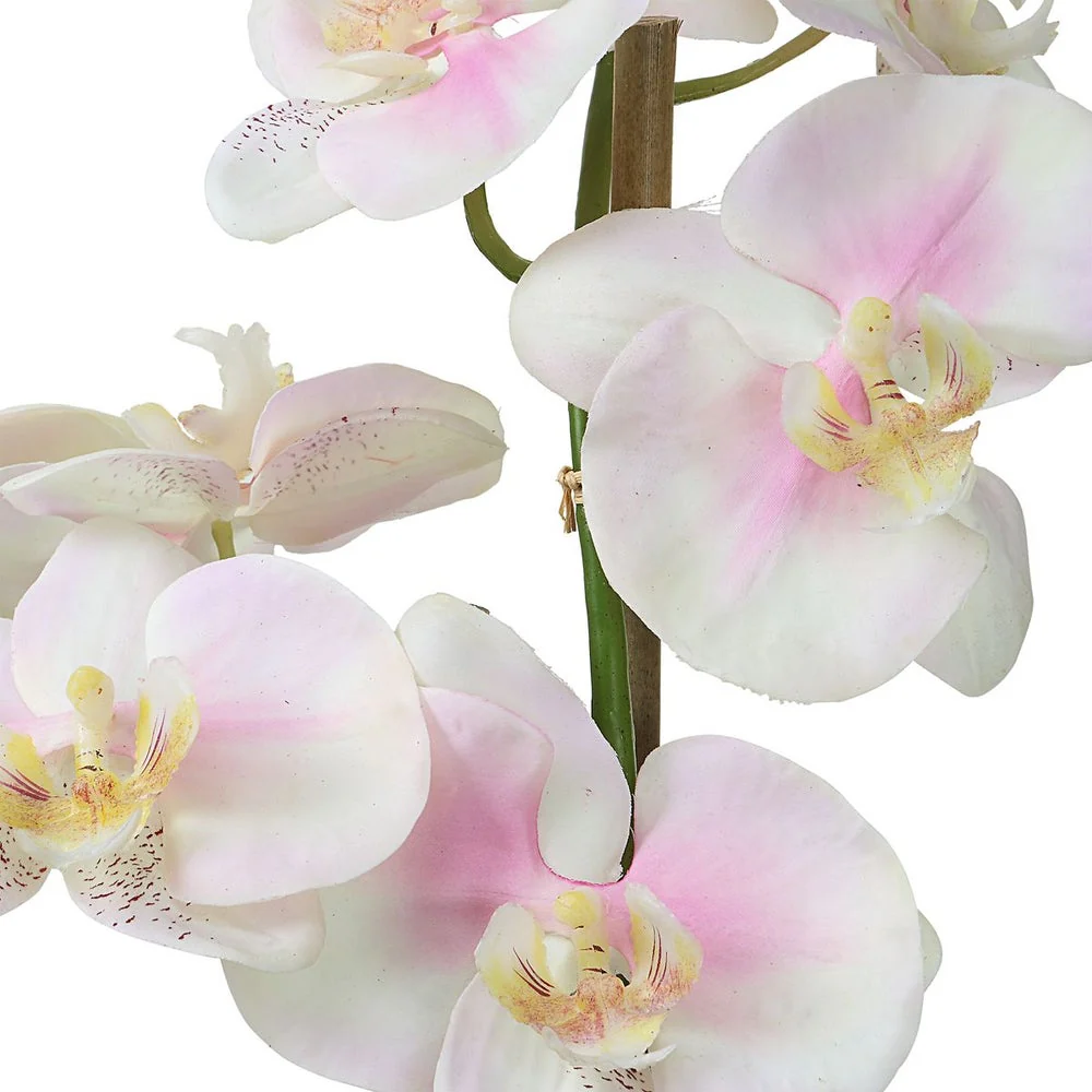 Uttermost Blush Orchid Botanicals - Image 3