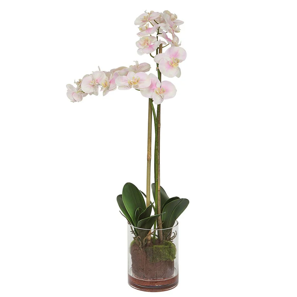 Uttermost Blush Orchid Botanicals - Image 4