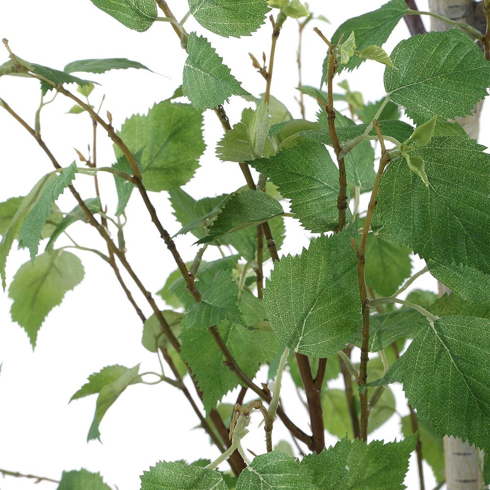 Uttermost Boreal Potted Lifelike Tall Birch Tree - Image 6