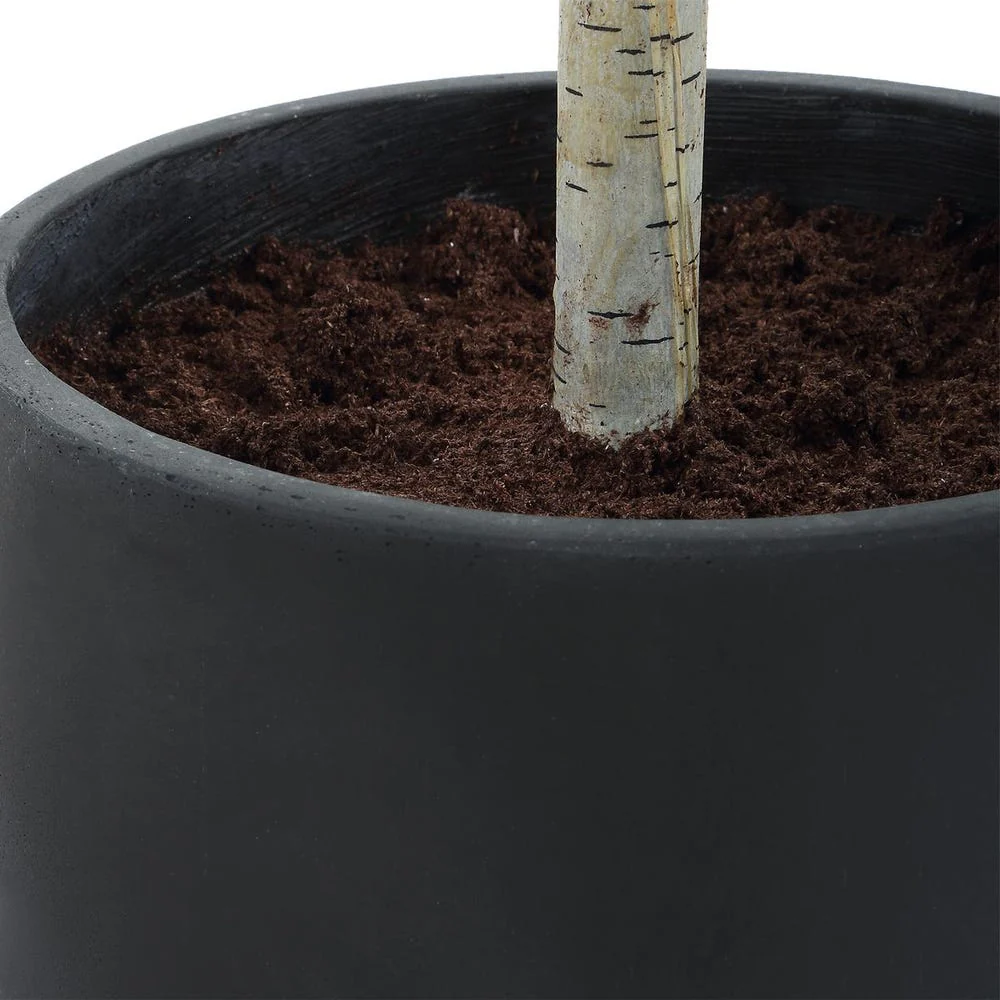 Uttermost Boreal Potted Lifelike Tall Birch Tree - Image 7