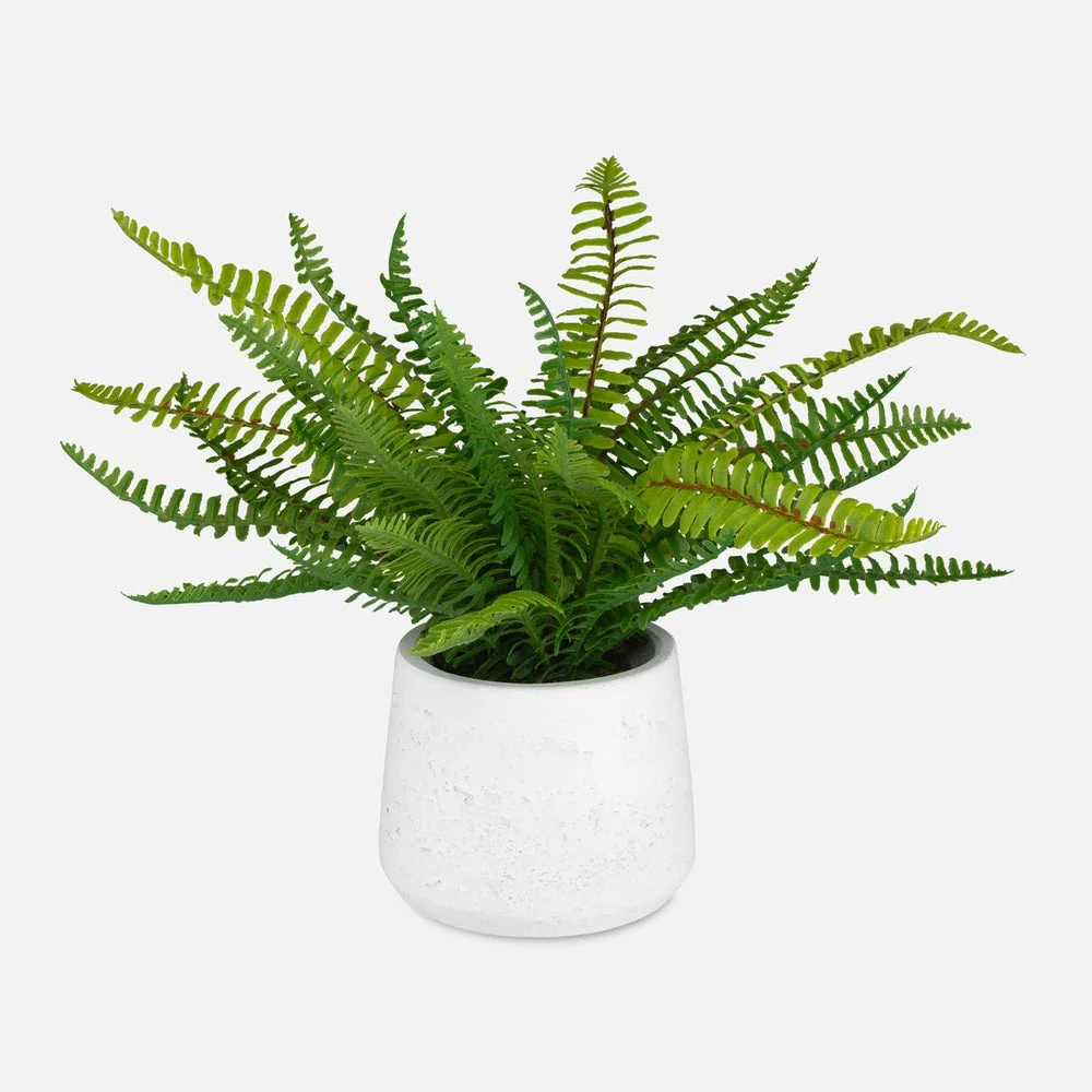 Uttermost Boston Fern Accent Botanicals - Image 2