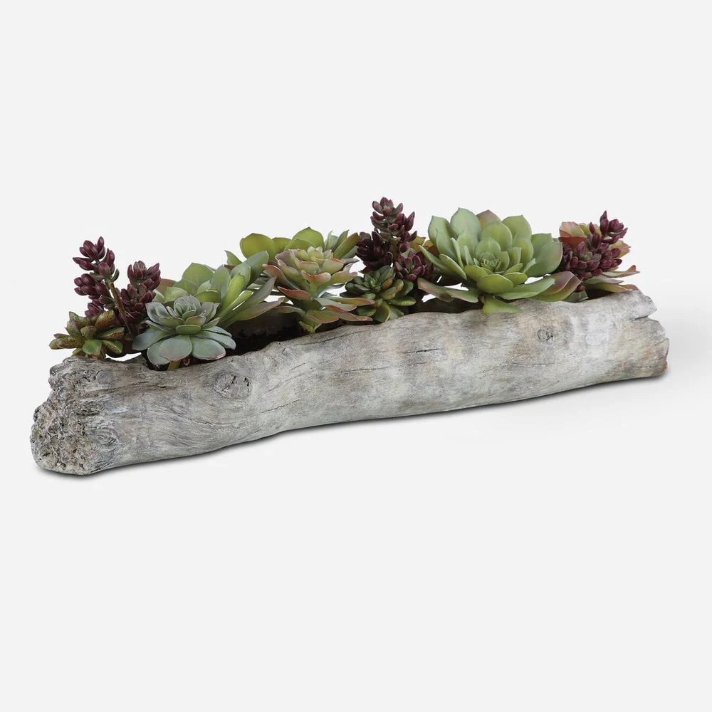 Uttermost Charita Succulents Botanicals - Image 2