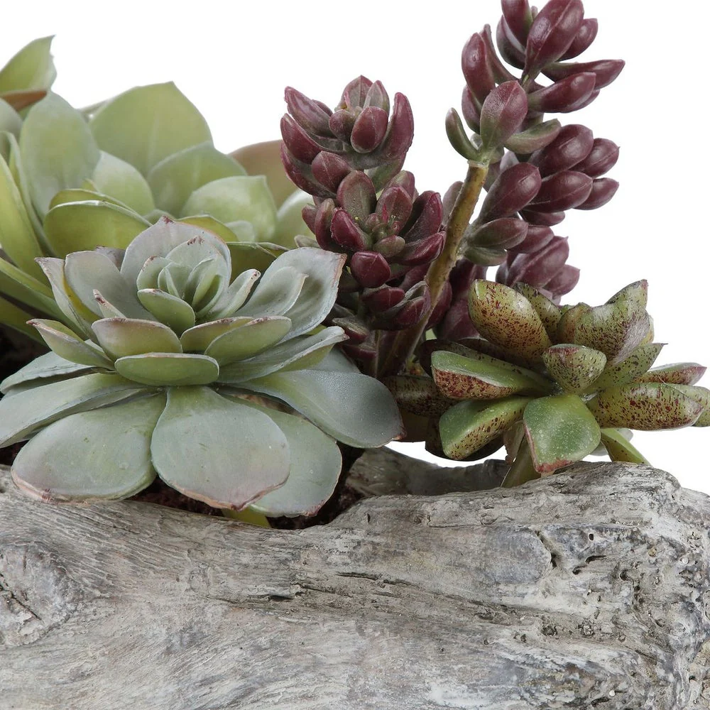 Uttermost Charita Succulents Botanicals - Image 3