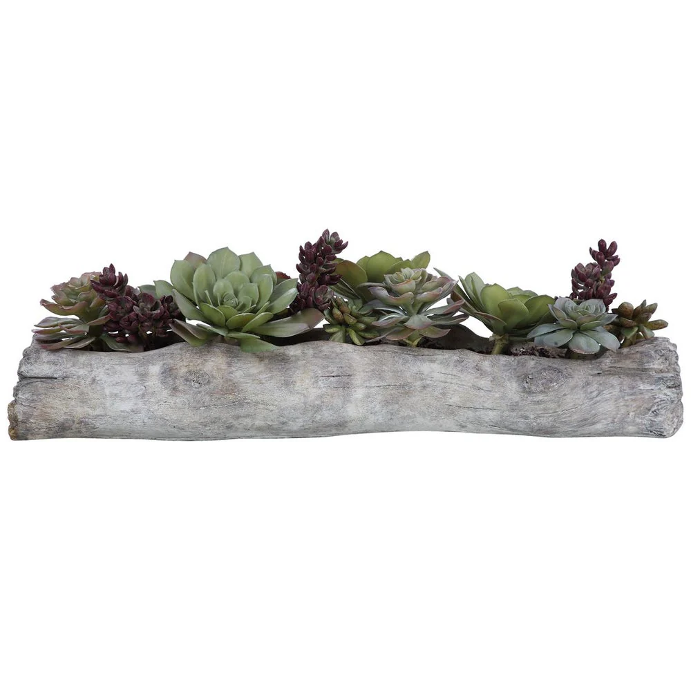 Uttermost Charita Succulents Botanicals - Image 4