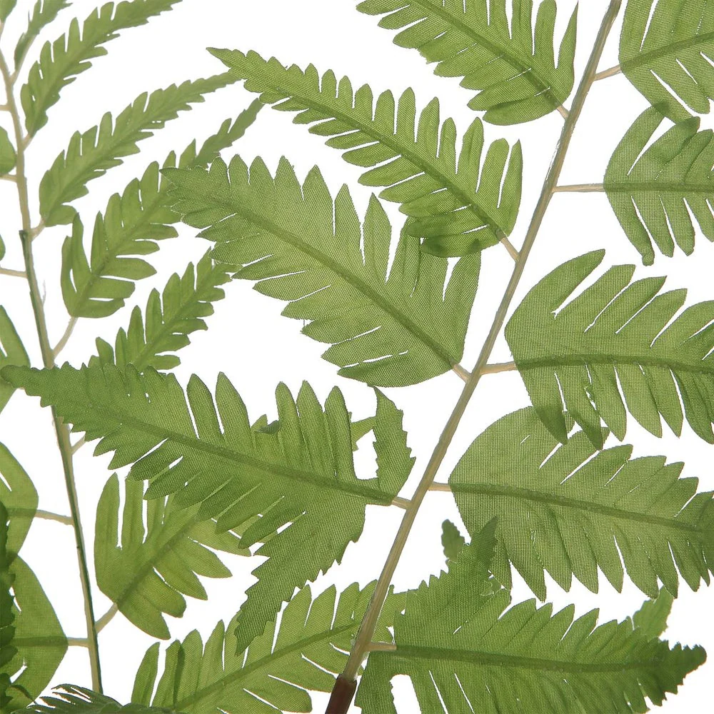 Uttermost Country Ferns, Set Of Two Botanicals - Image 3