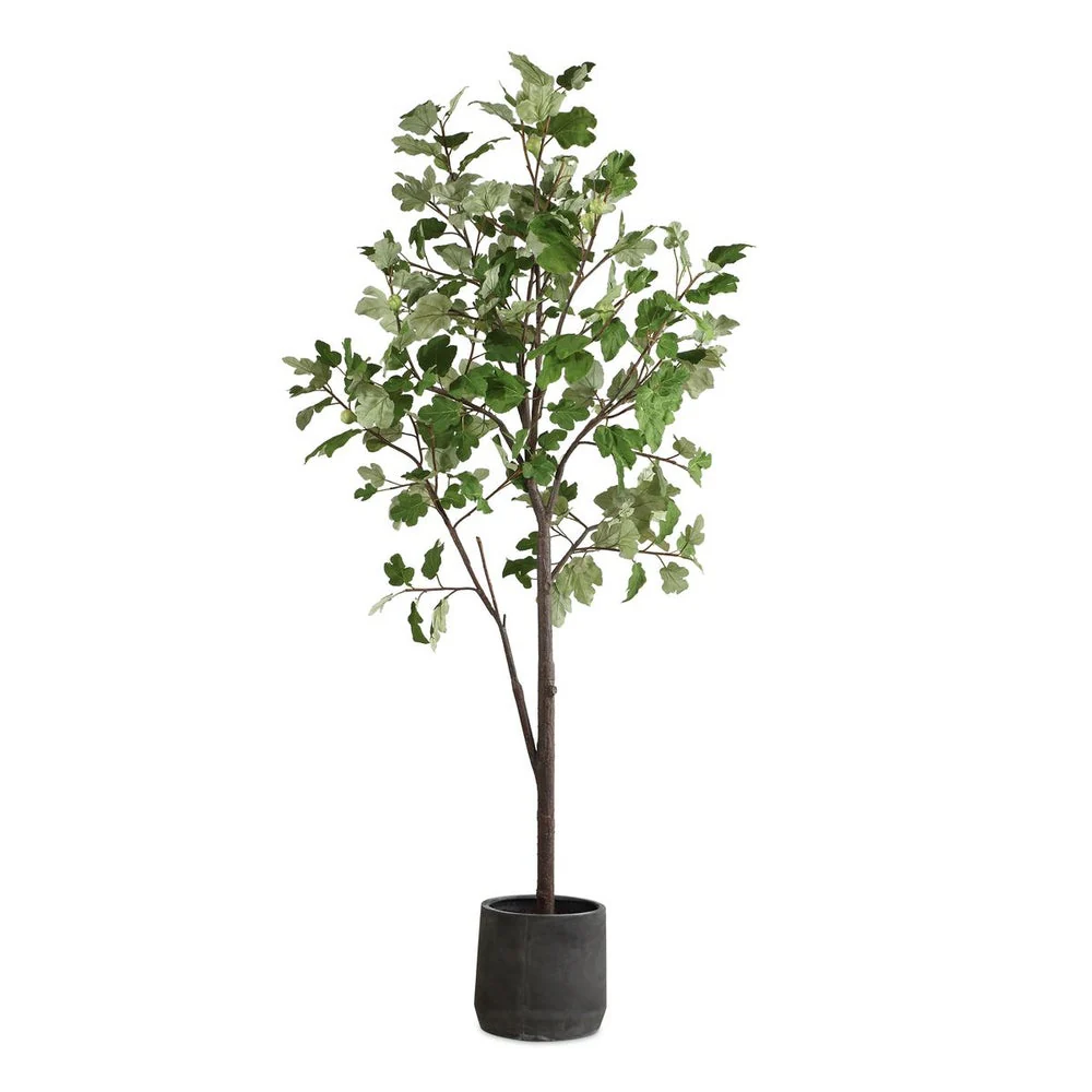 Uttermost Eden Fig Tree In Charcoal Black Concrete Pot - Image 2