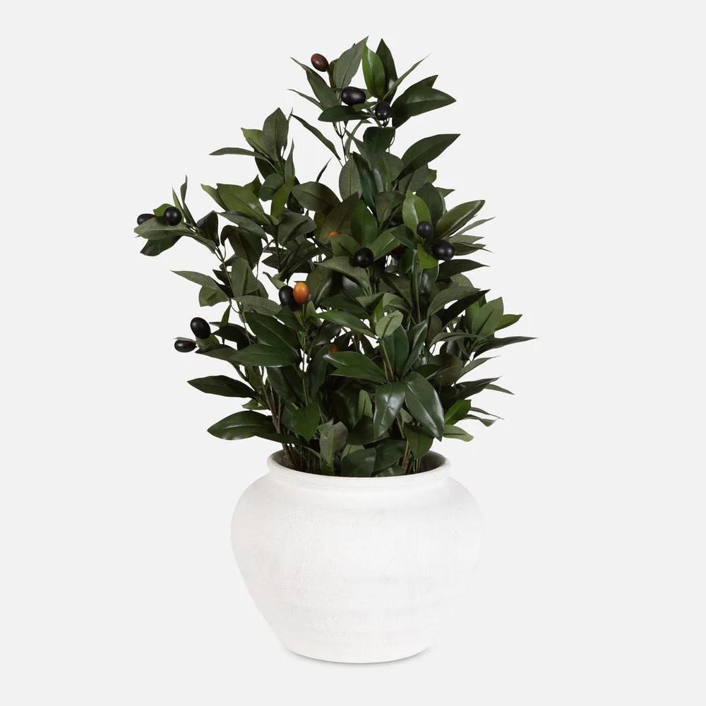 Uttermost Elena Olive Centerpiece Botanicals
