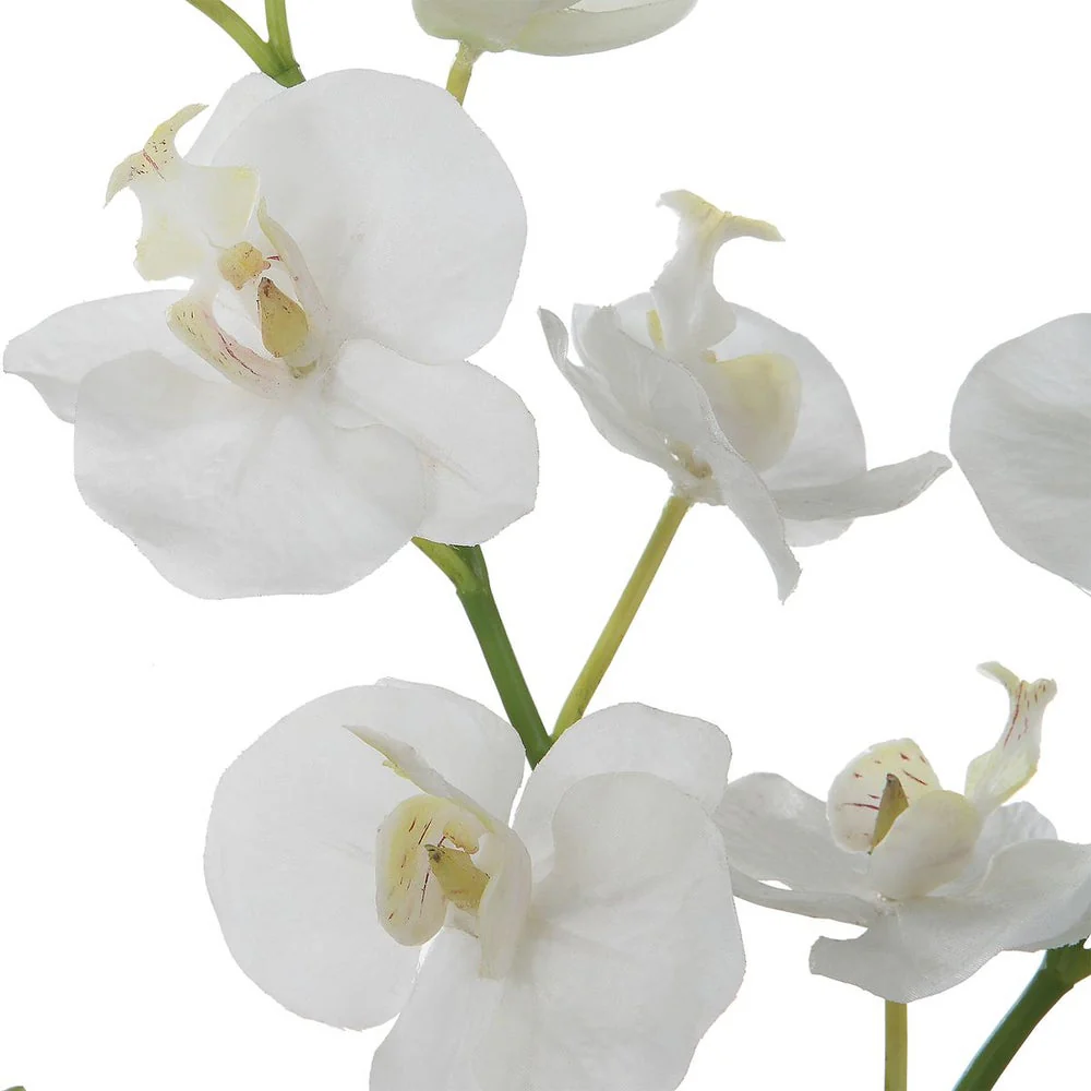 Uttermost Glory Orchid, White Botanicals - Image 5