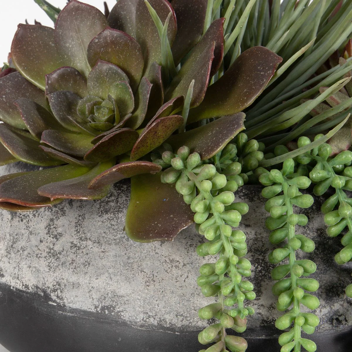 Uttermost Gobi Succulent Centerpiece Botanicals - Image 5