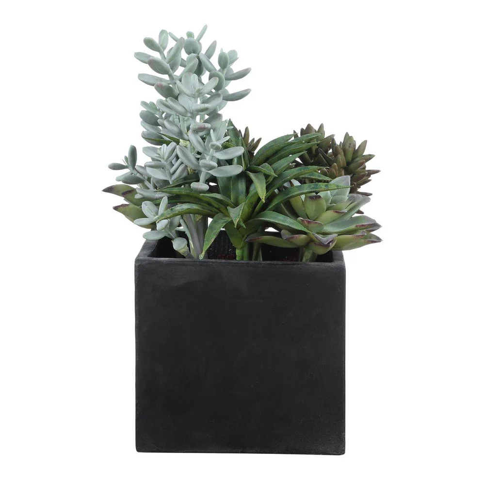 Uttermost Greystone Succulent ~ Indoor And Outdoor Use - Image 6