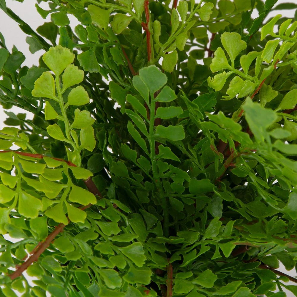 Uttermost Maidenhair Fern Accent Botanicals - Image 3