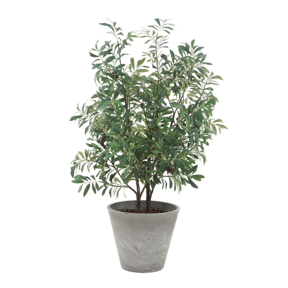 Uttermost Marisol Potted Olive In A Stone Gray Pot - Image 3